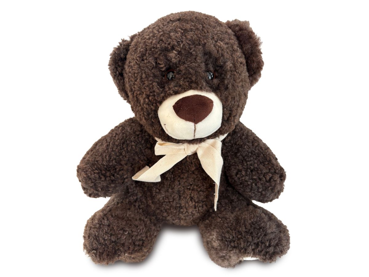 Shorn Curly Teddy Bear